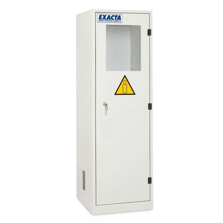 Armoire de stockage de bouteilles de gaz fermée avec fenêtre