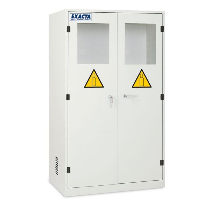 Armoire de stockage de bouteilles de gaz fermée 2 portes avec fenêtres