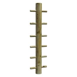 module de sport arbre