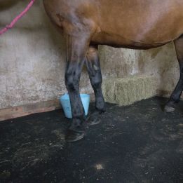 Tapis en caoutchouc pour centre équestre dans notre gamme de Revêtements | Dalles et tapis loisirs